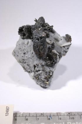 Tennantite