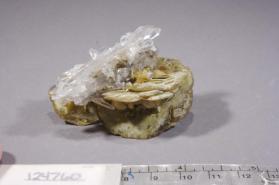 Siderite with Quartz