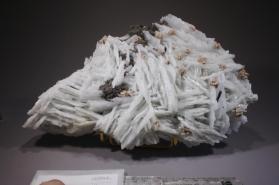 Dolomite with Albite