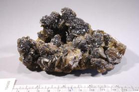 Siderite with Quartz