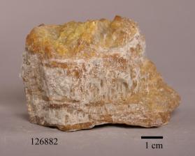 Chrysotile