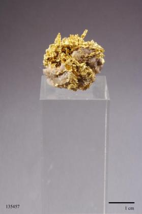 Gold with anatase? and Quartz