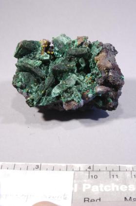 MALACHITE with Wulfenite