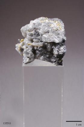 Gold with Arsenopyrite and Galena and Quartz and SPHALERITE