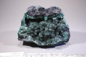 MALACHITE with Quartz