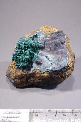 MALACHITE with Quartz