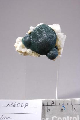 MALACHITE with Quartz