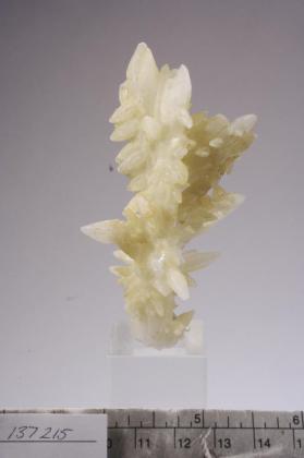 CALCITE