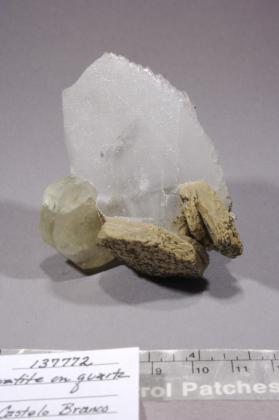 Siderite with FLUORAPATITE and Quartz