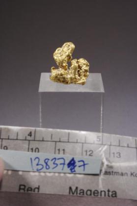 Gold with Quartz