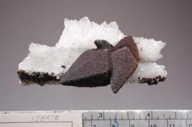 Siderite with Quartz