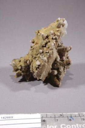 Siderite with Quartz