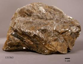 Muscovite