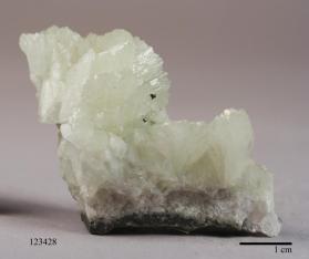 DATOLITE