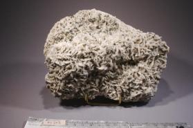 Dolomite