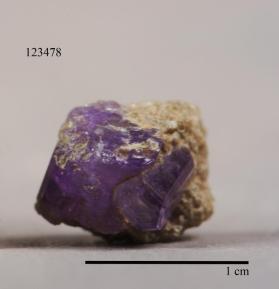 FLUORAPATITE