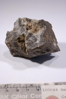 Calaverite