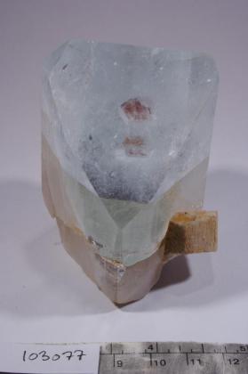 TOPAZ with GARNET and MICROCLINE