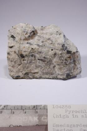 Pyrochlore with Magnetite and Phlogopite