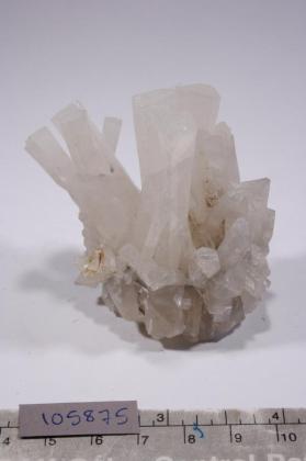 CALCITE