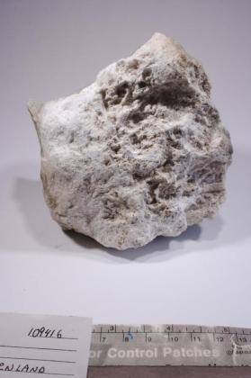 Gearksutite