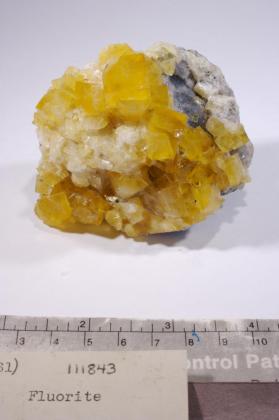 FLUORITE