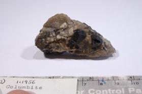 Columbite-(Fe)