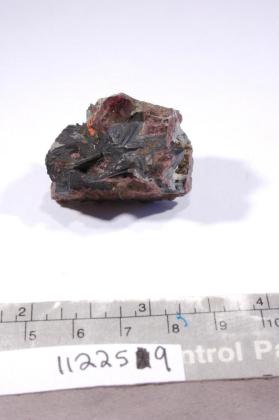 Eudialyte