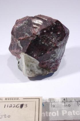 Eudialyte