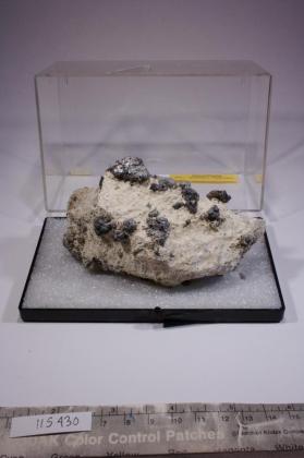 Pyrochlore with Magnetite