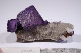 FLUORITE