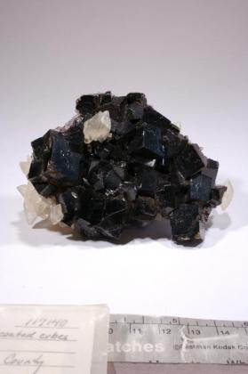 FLUORITE with CALCITE and hydrocarbon