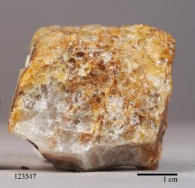 SCOLECITE