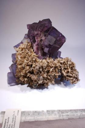 FLUORITE