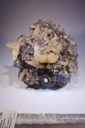 FLUORITE