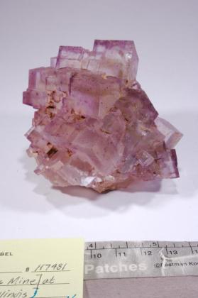 FLUORITE