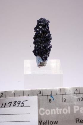 Azurite with Quartz