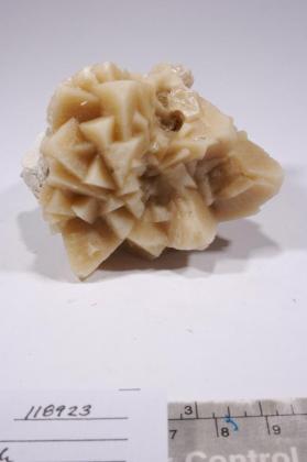 CALCITE