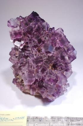 FLUORITE