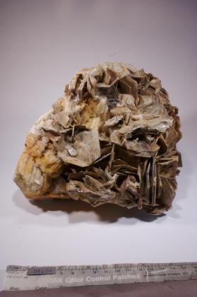 Muscovite