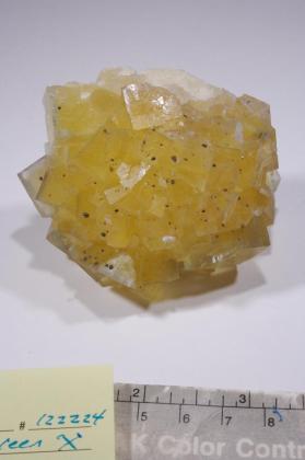 FLUORITE