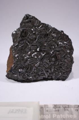 Manganite