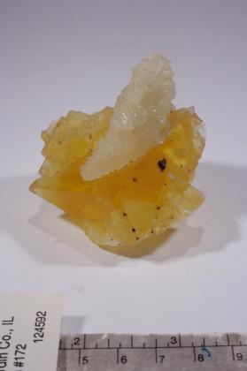 Benstonite with FLUORITE