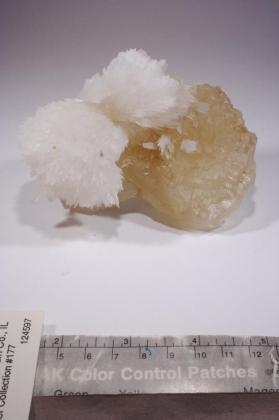 Strontianite with CALCITE