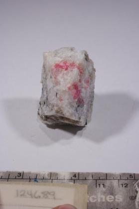 TUGTUPITE