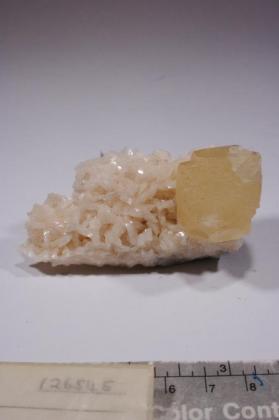 CALCITE