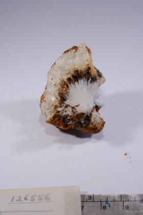 ARAGONITE