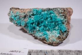 Aurichalcite with Limonite