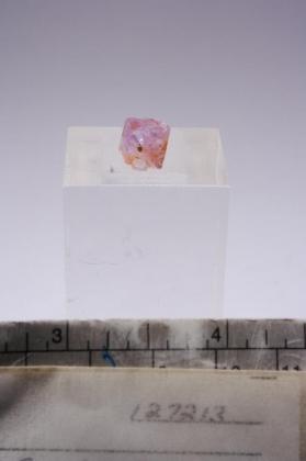 SPINEL