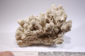 ARAGONITE